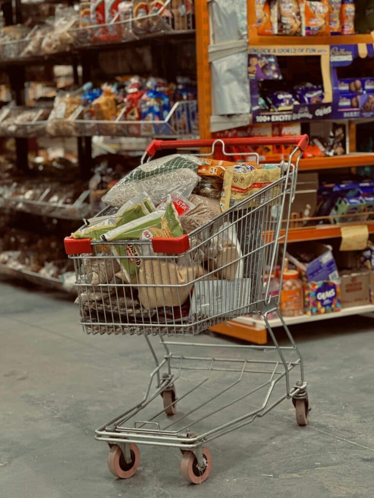 Analyzing Grocery Shopping Apps: Impact of Digital Coupons