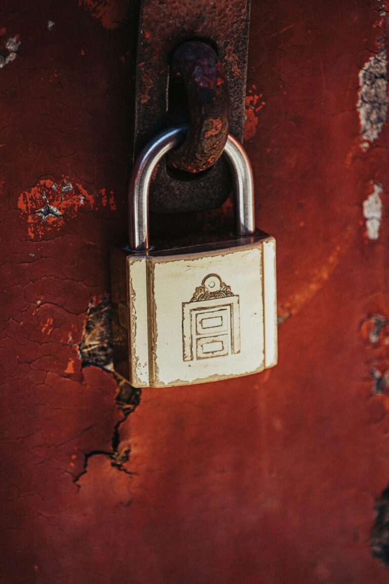 Top App Lockers for Enhanced Privacy and Security 2024
