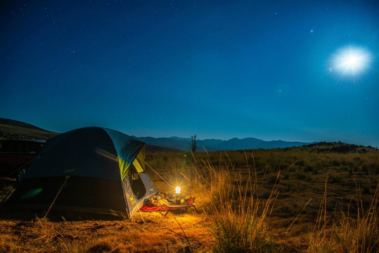 Top Camping and RV Travel Apps: An Analytical Review