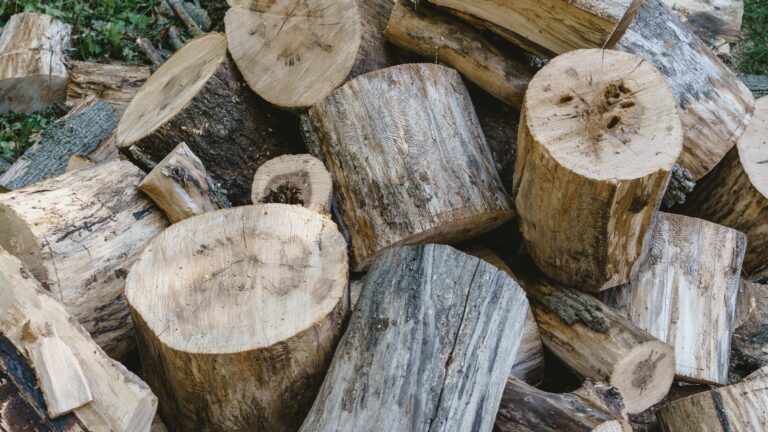 Analyzing Apps for Effective Chronic Condition Logging and Management